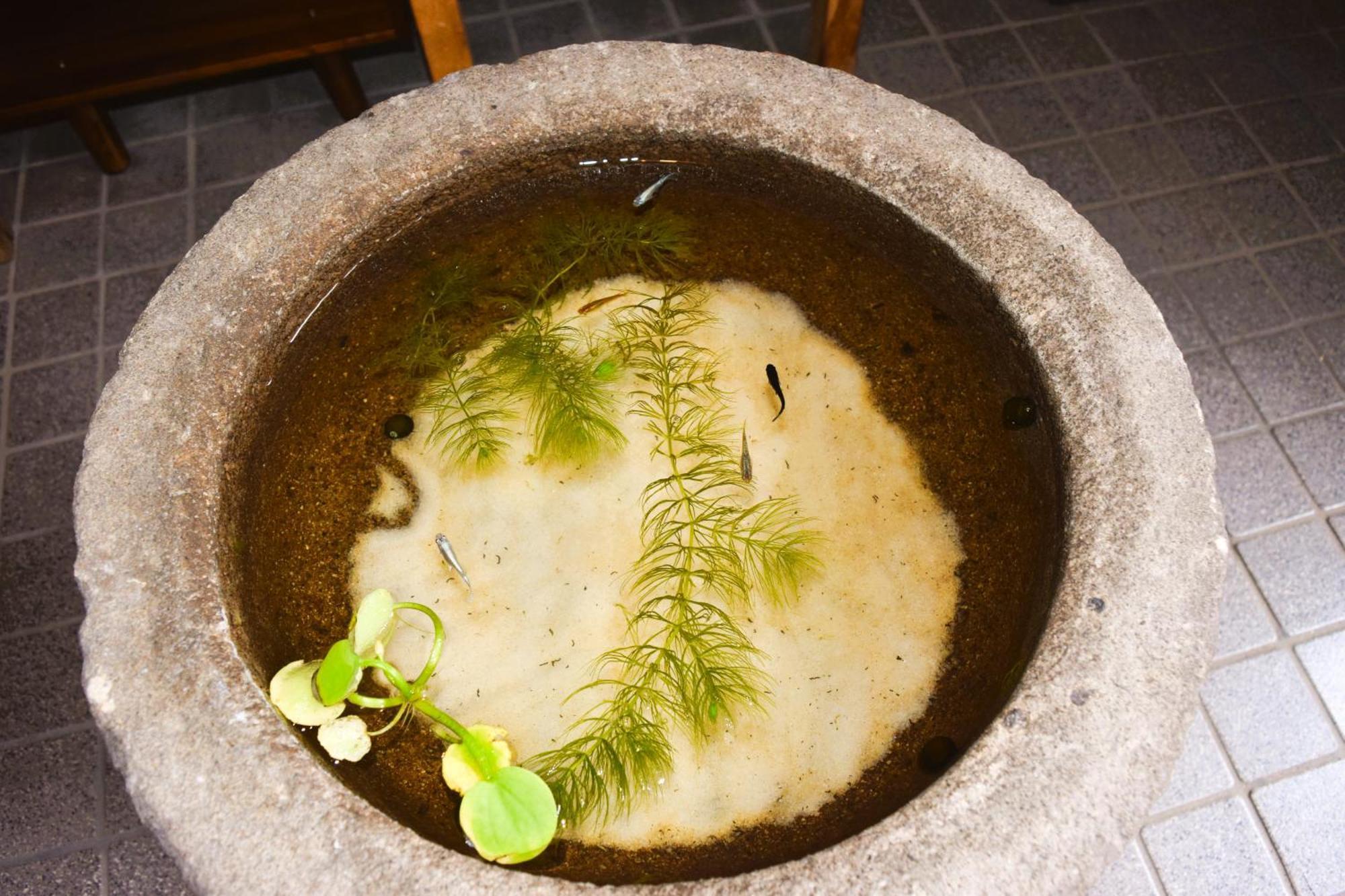 Atagoya Villa Takayama  Buitenkant foto